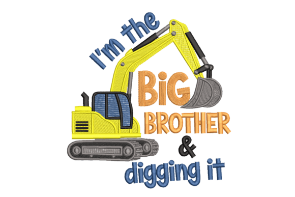 I’m the Big Brother: A Comprehensive Evaluation Guide